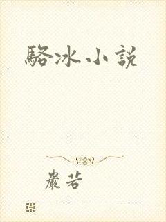骆冰小说
