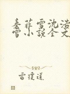 秦菲雪沈浩秦菲雪小说全文免费阅读求书