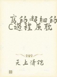 写的超细的多肉C过程原耽