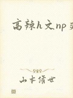 高辣h文np爽