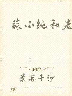苏小纯和老苏