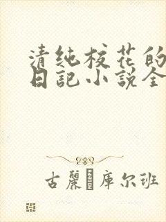 清纯校花的堕落日记小说全文免费阅读