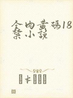 全肉黄码18无禁小说