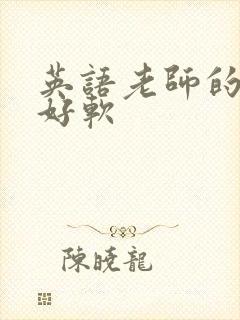 英语老师的兔子好软