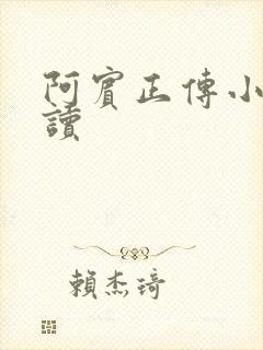 阿宾正传小说在读