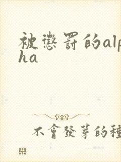 被惩罚的alpha