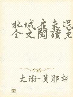 北城夜未眠小说全文阅读免费