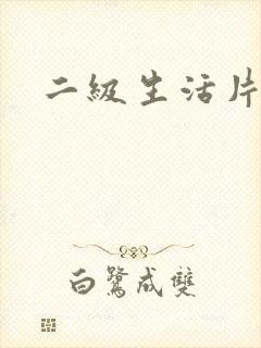 二级生活片