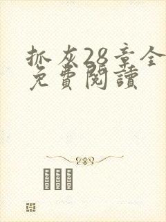 抓灰28章全部免费阅读