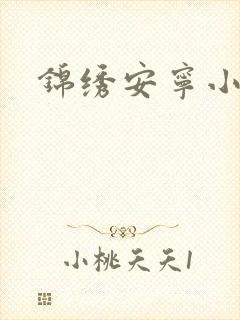 锦绣安宁小说