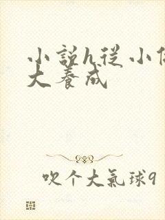 小说h从小做到大养成