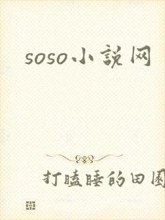 soso小说网