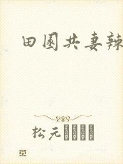 田园共妻辣