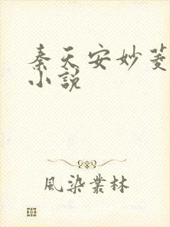 秦天安妙菱修仙小说