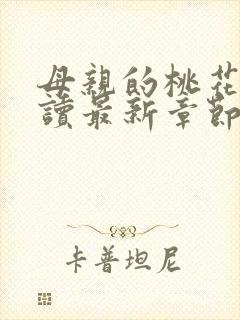 母亲的桃花源阅读最新章节小说