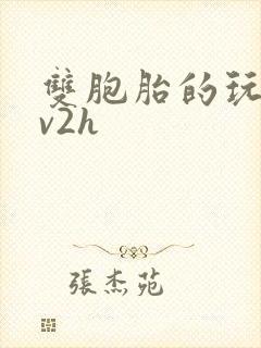 双胞胎的玩具1v2h