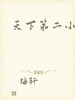 天下第二小说