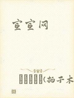 宣宣网