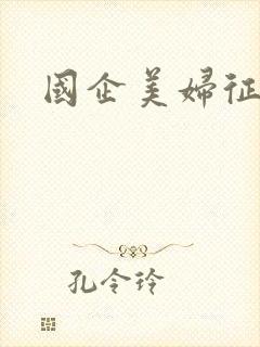 国企美妇征途