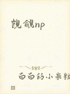 觊觎np