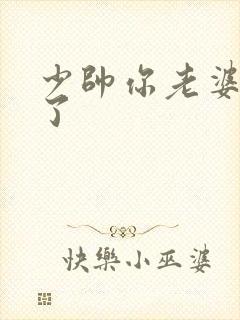 少帅你老婆又跑了