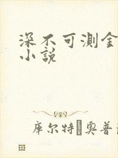 深不可测金银花小说
