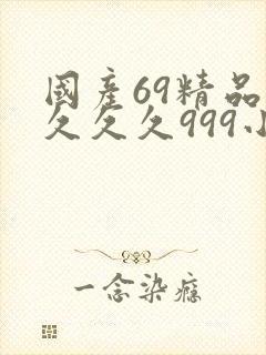 国产69精品久久久久999小说