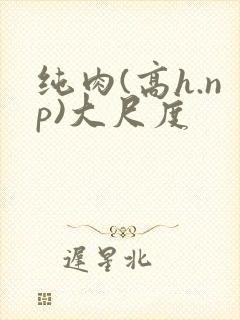 纯肉(高h.np)大尺度