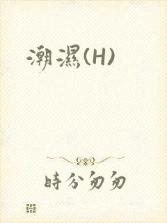 潮湿(H)