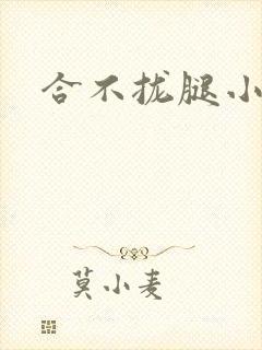 合不拢腿小说