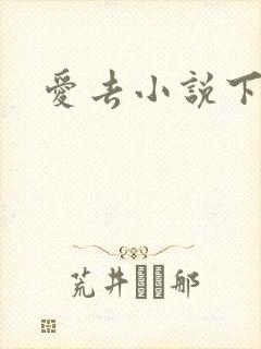 爱去小说下载网