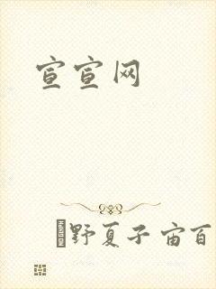 宣宣网