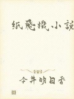 纸飞机小说