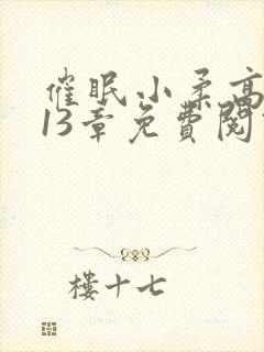 催眠小柔高达第13章免费阅读