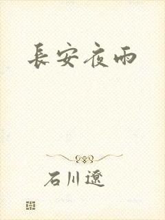 长安夜雨