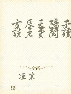 方辰天阳子的小说免费阅读