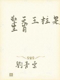 擎天玉柱是什么生肖