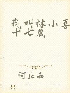 我叫林小喜今年十七岁