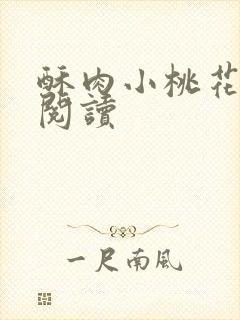 酥肉小桃花全文阅读