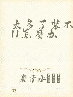 太多了装不下h11怎么办