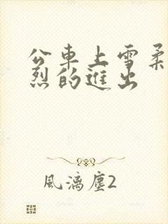 公车上雪柔被猛烈的进出