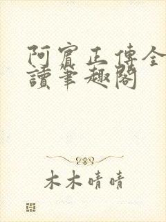 阿宾正传全文阅读笔趣阁