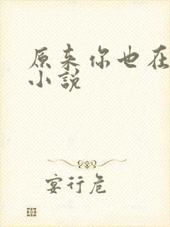 原来你也在这里小说