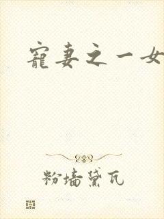 宠妻之一女二夫