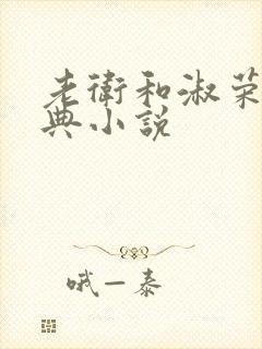 老卫和淑荣的经典小说