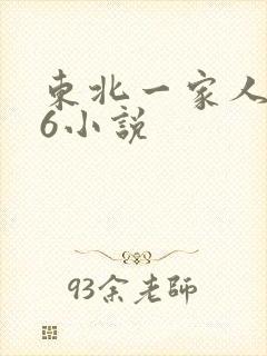东北一家人1一6小说
