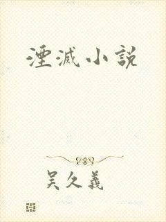 湮灭小说