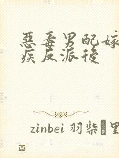 恶毒男配嫁给残疾反派后