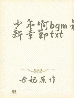 少年啊bgm最新章节txt