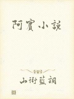 阿宾小说